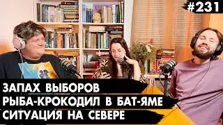 #231 Запах выборов, Ситуация на Севере, Рыба-крокодил в Бат-Яме - Че там у евреев?