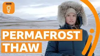 What happens when the permafrost thaws? | BBC Ideas