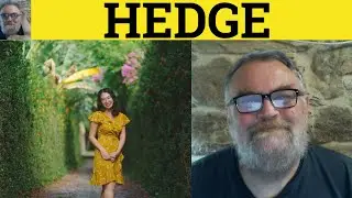 🔵 Hedge Meaning - Hedge Ones Bets Examples - Hedge Fund Defined - Hedge Fund Hedge Your Bets Hedge