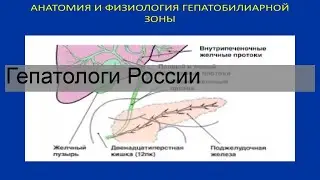 День рождения 26 ноября: какой знак зодиака, характер детей и взрослых, имена