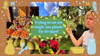 ♻️30 Days Cutting Single-Use Plastic!!!♻️ Challenges, successes, and MANY surprises!