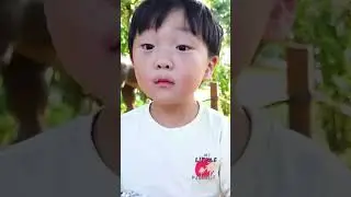 Boy Gets a Surprise from a Dinosaur 🦕 at the Zoo!