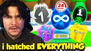 I Opened EVERYTHING In Bubble Gum Simulator Infinity FOR 24 Hours...