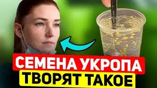 Меня на ноги поставили Семена Укропа! Записывайте: на 1 ст. воды...