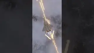 Felon eats bullets | F/A-18C vs Su-57 | DCS