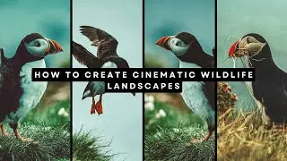 How to Create Cinematic Wildlife Landscapes: 8 Stunning LUTs for Pro Results