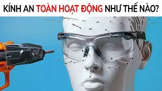 Những sự thật kỳ lạ đến mức bạn sẽ không thể ngừng chia sẻ chúng