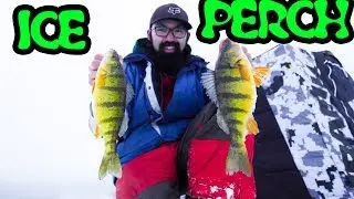Early Ice Simcoe Perch Fishing