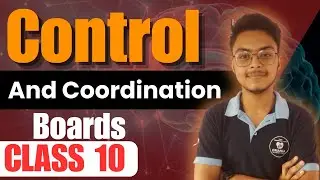 Control And Coordination (Neurons) Part 2    Class 10 Boards 2024-2025