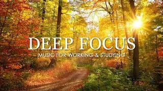 Deep Focus Music To Improve Concentration - 12 Hours of Ambient Study Music to Concentrate #785