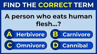 Vocabulary Challenge: Find The Correct Term! 