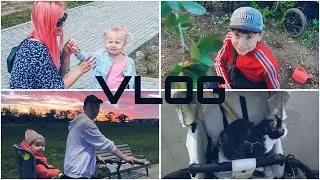 VLOG ☀️ Наступило лето! / Гуляю с кошкой в коляске / день защиты детей/ дача