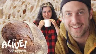 Brad and Claire Make Sourdough Bread | It's Alive | Bon Appétit