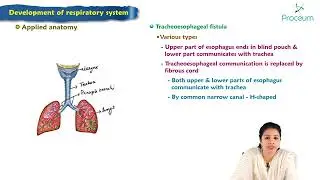 Development of respiratory system : Embryology Lecture