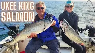 Chinook Salmon Fishing in Ucluelet British Columbia