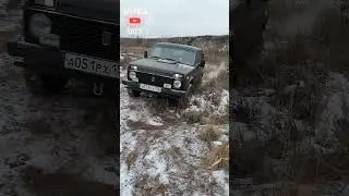 👉НИВА, ЭТО ЭМОЦИИ.