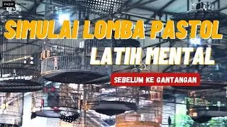 Simulasi lomba murai batu pastol ‼️