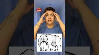 Сколько ног у слона, напиши в комментариях 😱 #shorts #tiktok #иллюзия