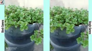 Xiaomi Redmi Note 8 Pro LATEST Google Camera VS Stock Camera Comparison 2020 | GCam vs Stock 🔥