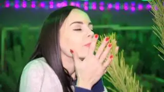 Новогодние сосны