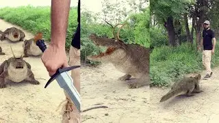 Indian Loki Vs Alligator Loki Marvel's Fan 