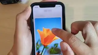 iPhone 11 Pro: How to Change Haptic Touch Duration to Fast / Slow