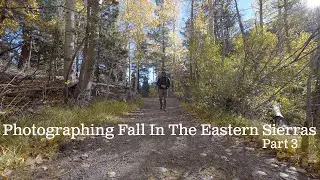 Photographing Fall In The Eastern Sierras Part 3 | California Fall Photography 4k