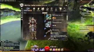 Новинки магазина Guild wars 2