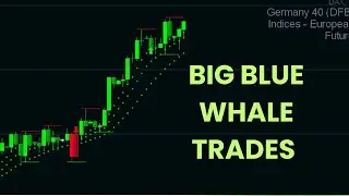 Big blue whale monster trades setting up in the financial markets