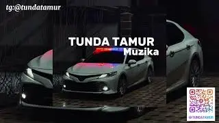 Два брата (Remix)