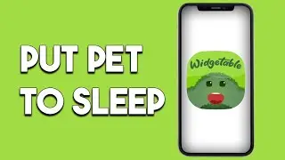 How To Put Pet To Sleep Widgetable