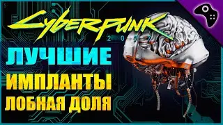 CYBERPUNK 2077 (КИБЕРПАНК 2077) ГАЙД. ВСЕ ЛЕГЕНДАРНЫЕ ИМПЛАНТЫ (ЛОБНАЯ ДОЛЯ)