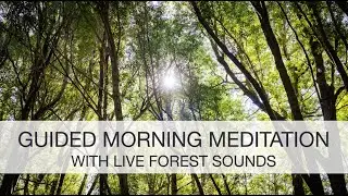 10 Min Guided Morning Intention Meditation | Live Forest Sounds, Oregon Coast