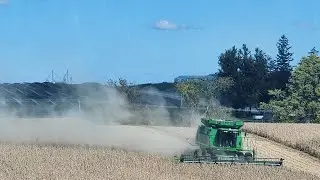 Soybean Harvest Day One 2024