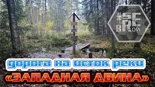 Дорога на исток Западной Двины (состояние дороги на 2023год)