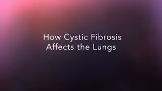 How Cystic Fibrosis Affects the Lungs