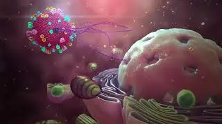 The coronavirus outbreak (2019 nCoV) explained through 3D Medical Animation