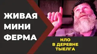 Живая Мини Ферма. 50% скидка на проект по заявке //Живая Баня Иван Бояринцев