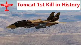 1980 First Tomcat Kill in History Recreation | DCS World | Flying Hai