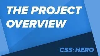 The Project Overview