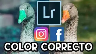 EXPORTA DESDE LIGHTROOM A INSTAGRAM CON EL COLOR CORRECTO!!