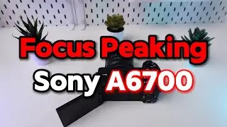 Sony A6700: Mastering Focus Peaking for Sharp Images