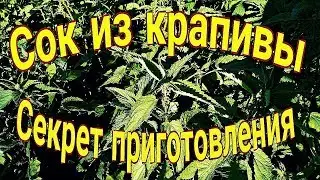 Сок из крапивы. Секрет приготовления.