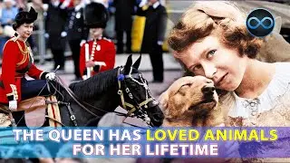 Which are Queen Elizabeth's Favourite Pets?
