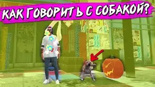 ЧТО ДЕЛАТЬ КАК РАЗГОВАРИВАТЬ С СОБАКОЙ? Majestic gta 5 rp дэчи