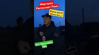 ТРАНСНЕФТЬ УФА ЧОП МАРГАРИНОВЫЕ МОЗГИ БЫКУЕТ НА ПОЛЕ