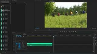Premiere Pro Not Importing Audio to Sequence FIX