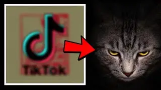 The MYSTERIOUS Backstory of This VIRAL TikTok Song Is NOT What you Expect...