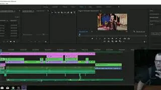 Premiere Pro Timeline Glitch Fix