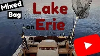 Trolling Lake Erie - Walleye Fishing Lake Erie - Catching a Mixed Bag